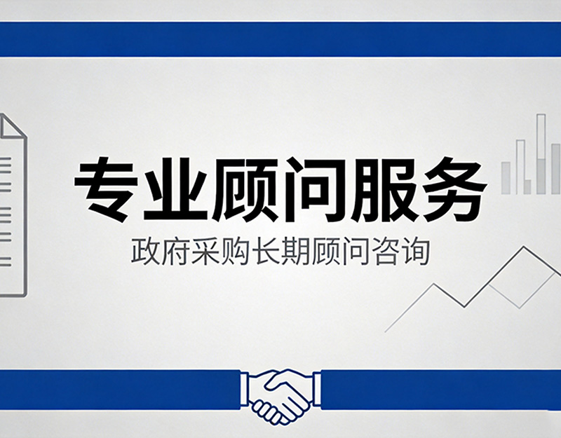 专业顾问服务